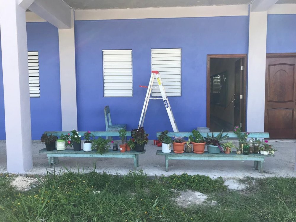 Decorative Plants in St. Joseph