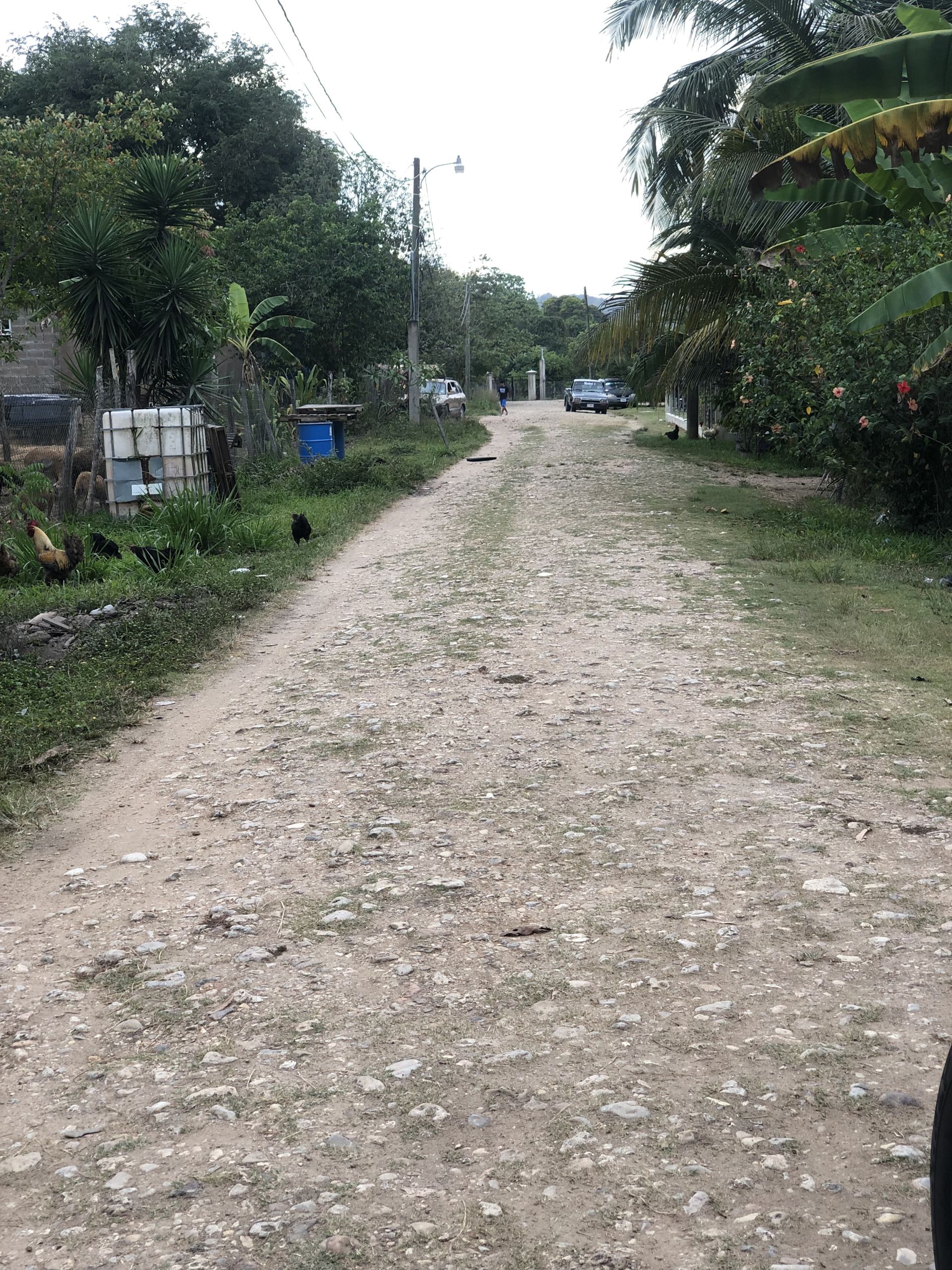 dirt road dirt road